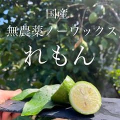 無農薬、ノーワックスのグリーンレモン!!のサムネイル