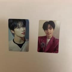 SEVENTEEN ディノ　舞い落ちる花びらのサムネイル