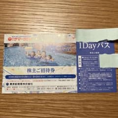 東京サマーランド　株主御招待券　1DAYパス　1枚のサムネイル