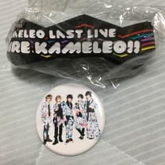 ex. カメレオのサムネイル