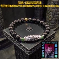 限定・極神域呪禁導師】『純銀九眼天珠×ギベオン隕石×シュンガイト 