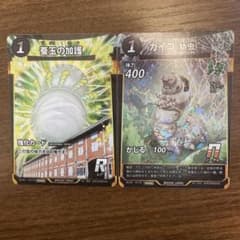 カイコ(虫)と霧玉の加護セット - メルカリ