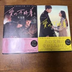愛の不時着 完全版 上下巻セットのサムネイル