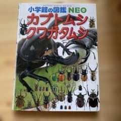 小学館の図鑑NEO カブトムシ・クワガタムシのサムネイル