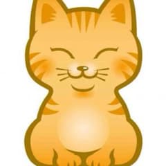 【朧月様専用】のサムネイル