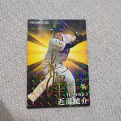 プロ野球チップスカード

近藤健介ー福岡ソフトバンクホークス
サイン入りのサムネイル