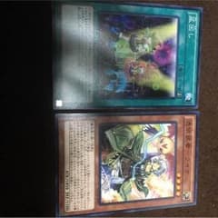マキシマムクライシスノーレアセットのサムネイル