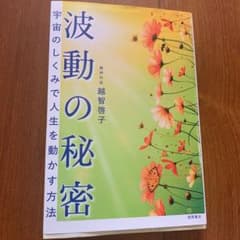 波動の秘密 宇宙のしくみで人生を動かす方法のサムネイル