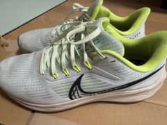 NIKE ズームペガサス39 27.5cmのサムネイル