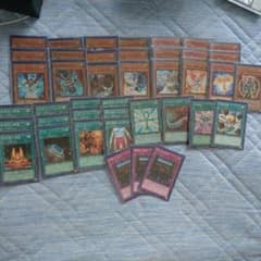 遊戯王 終世デッキ たっつん様専用のサムネイル