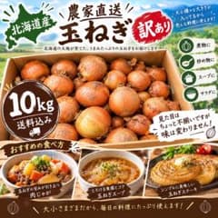 北海道産 農家直送　玉ねぎ 訳あり 10kg(箱込みの重さ)のサムネイル