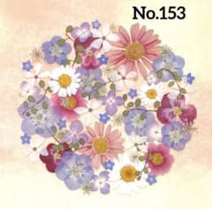 押し花素材　No.153 アソートセットのサムネイル