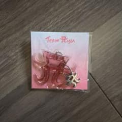 浜崎あゆみ　ファンクラブ入会特典のサムネイル
