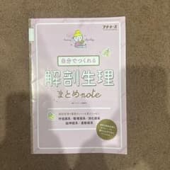 自分でつくれる解剖生理まとめnote プチナース 2019年3月号別冊付録のサムネイル