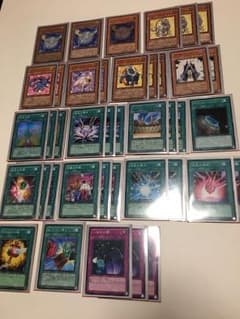 遊戯王 宝玉獣デッキ 氾濫ワンキル型のサムネイル