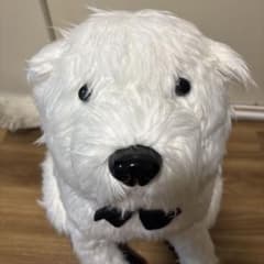 SPY×FAMILY Bond Life-Size Plush Toy (Approx. 66cm)