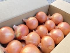 淡路島玉ねぎ冷蔵南あわじ産のサムネイル