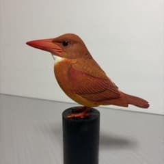 アカショウビン バードカービング 野鳥彫刻 木彫りの野鳥 リアル野鳥