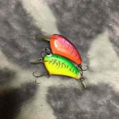 ワイドルモアとワイドルのサムネイル