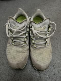NIKE Pegasus37のサムネイル