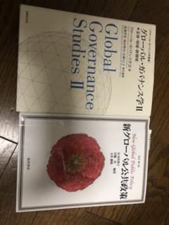 新グローバル公共政策/グローバル・ガバナンス学 II 主体・地域・新領域のサムネイル