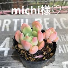 michi様 リクエスト 2点 まとめ商品のサムネイル