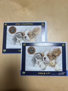 2026年 犬と猫 卓上カレンダー 2冊セットのサムネイル