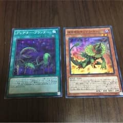 プレデタープランター   捕食植物サンデウキンジーのサムネイル