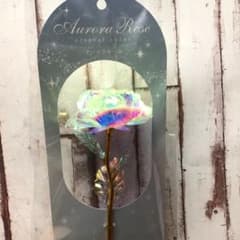 オーロラローズのサムネイル