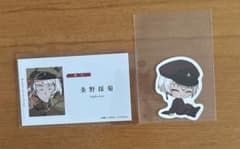 문스트 조노 채국