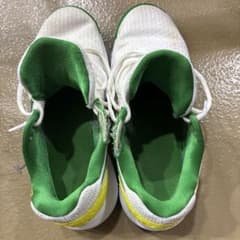 NIKE ハイパーダンク2017lowのサムネイル