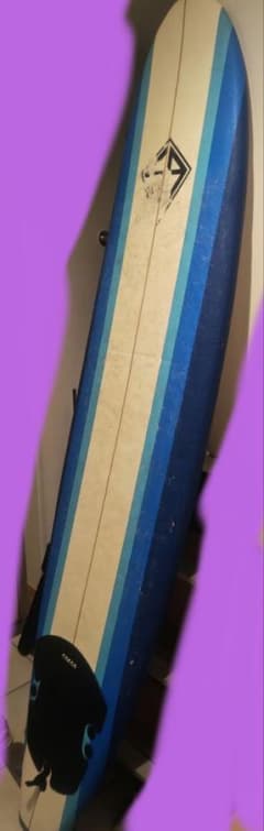 中古！コストコ　ロングボード　ワックス残り 手元14000 卸売りスポーツ - 中古！コストコ ロングボード ワックス残り 手元