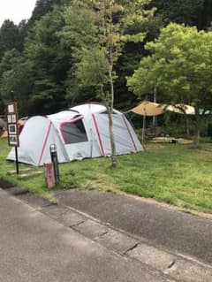 コールマン   ダークルームのサムネイル