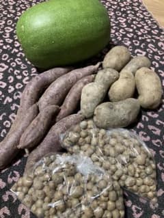 無農薬＊ 野菜4種のサムネイル