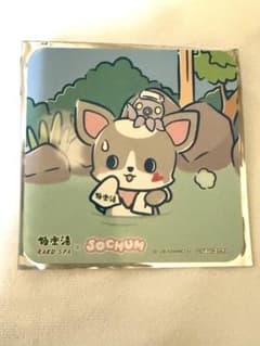 JOCHUM 極楽湯 チュララコースターのサムネイル