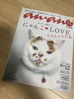 りとるみー様専用an.an にゃんこLOVE❤️2024のサムネイル