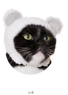 ねこくまちゃん しろのサムネイル