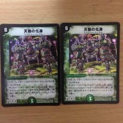 専用 天動の化身のサムネイル