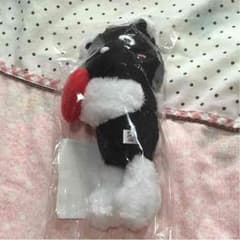 AAA ARENA TOUR 2016 グッズ え～パンダ抱きつきぬいぐるみのサムネイル