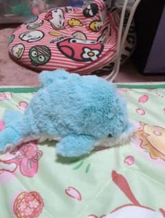イルカのぬいぐるみのサムネイル