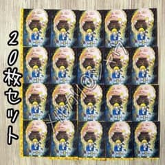 HUNTER×HUNTER 도어 씰 20장 세트 크라피카 헌터 헌터