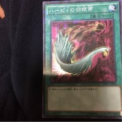 ハーピィの羽根帚のサムネイル