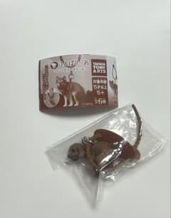 《新品未開封》ふんばり〜ぬ　どこでもふんばり〜ぬ　トイプードル　ガチャのサムネイル