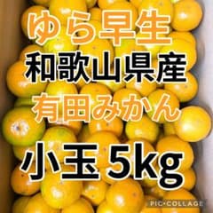ゆら早生 小玉 3S前後 約5kg 和歌山県有田産 有田みかんのサムネイル