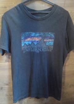 パタゴニア　Tシャツのサムネイル