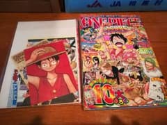 ロジャー様専用ワンピース10th トレジャーズのサムネイル