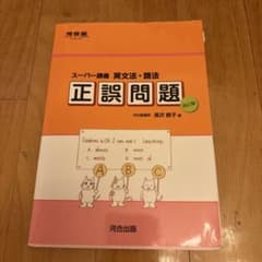 スーパー講義 英文法・語法 正誤問題のサムネイル