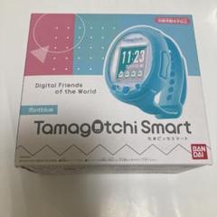 【未開封】Tamagotchi Smart Mintblue 41TBrSoSn8L.jpg_BO30,255,255,