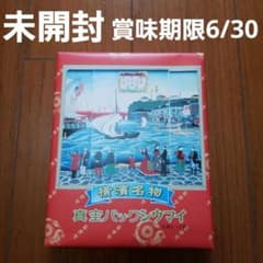 【賞味期限2023年6月30日】崎陽軒真空パックシウマイ　15個入×2箱のサムネイル