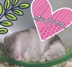 miyuちゃん☆お待ちしてます♡のサムネイル